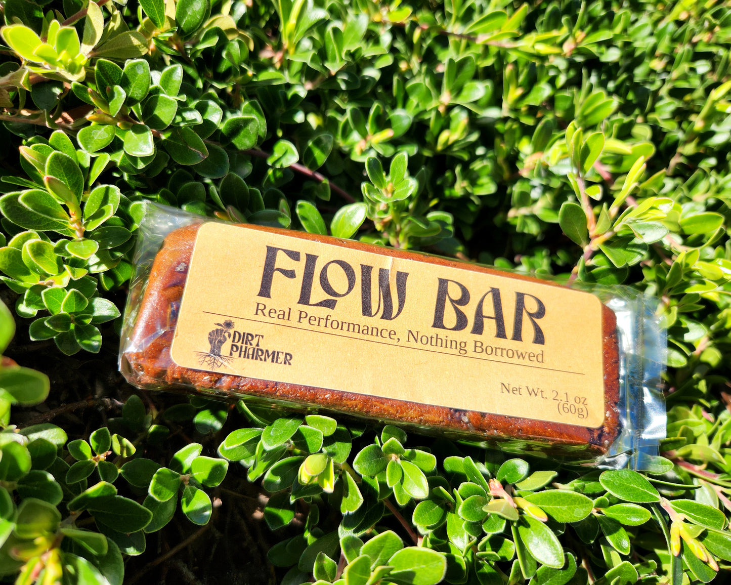 Flow Bar (6-pack) - Trailhead Brownie