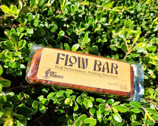 Flow Bar (1 Bar) - Trailhead Brownie